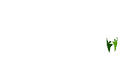 Ansaar Foundation Logo